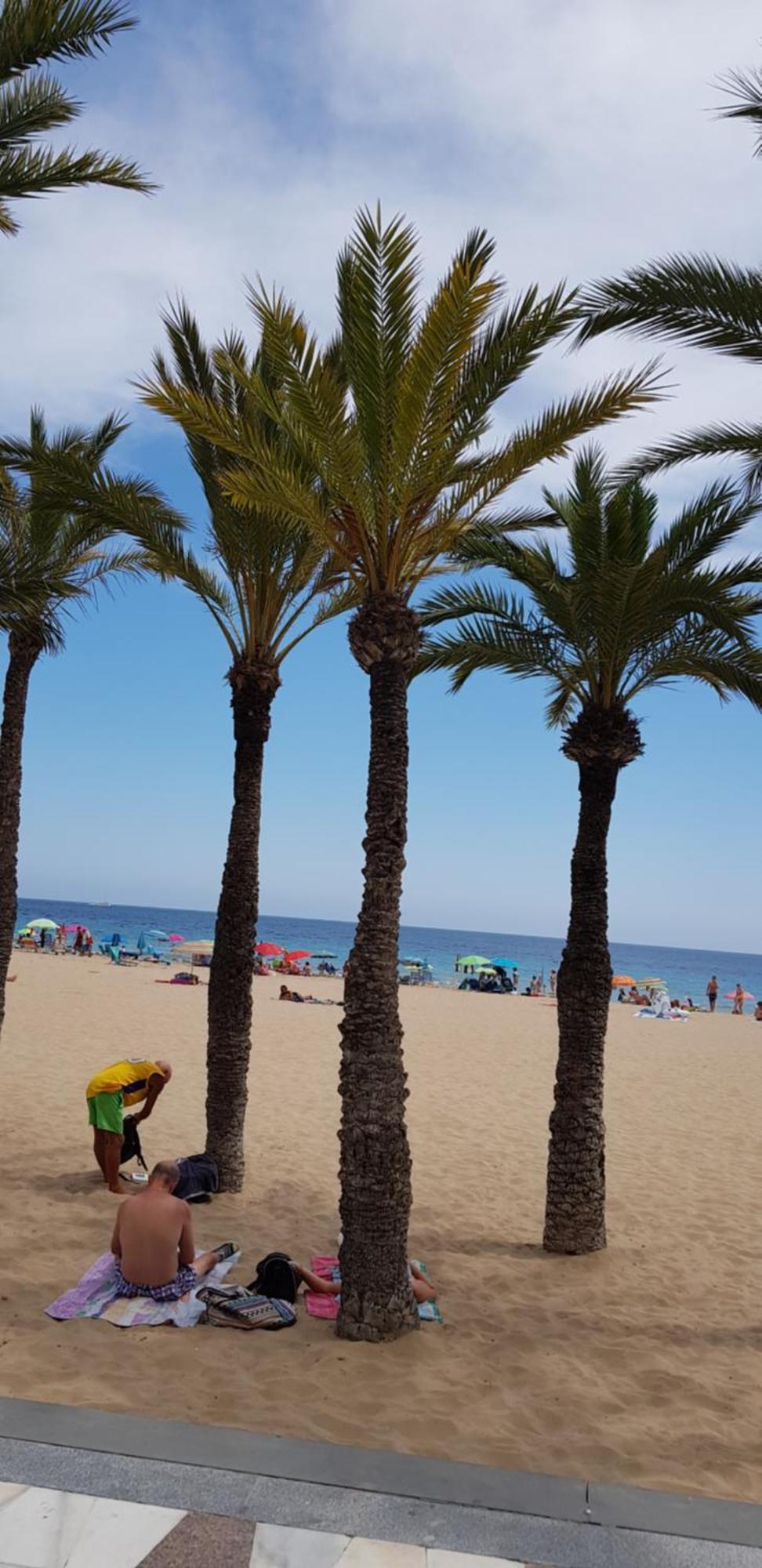 شقة Benidorm Beach المظهر الخارجي الصورة
