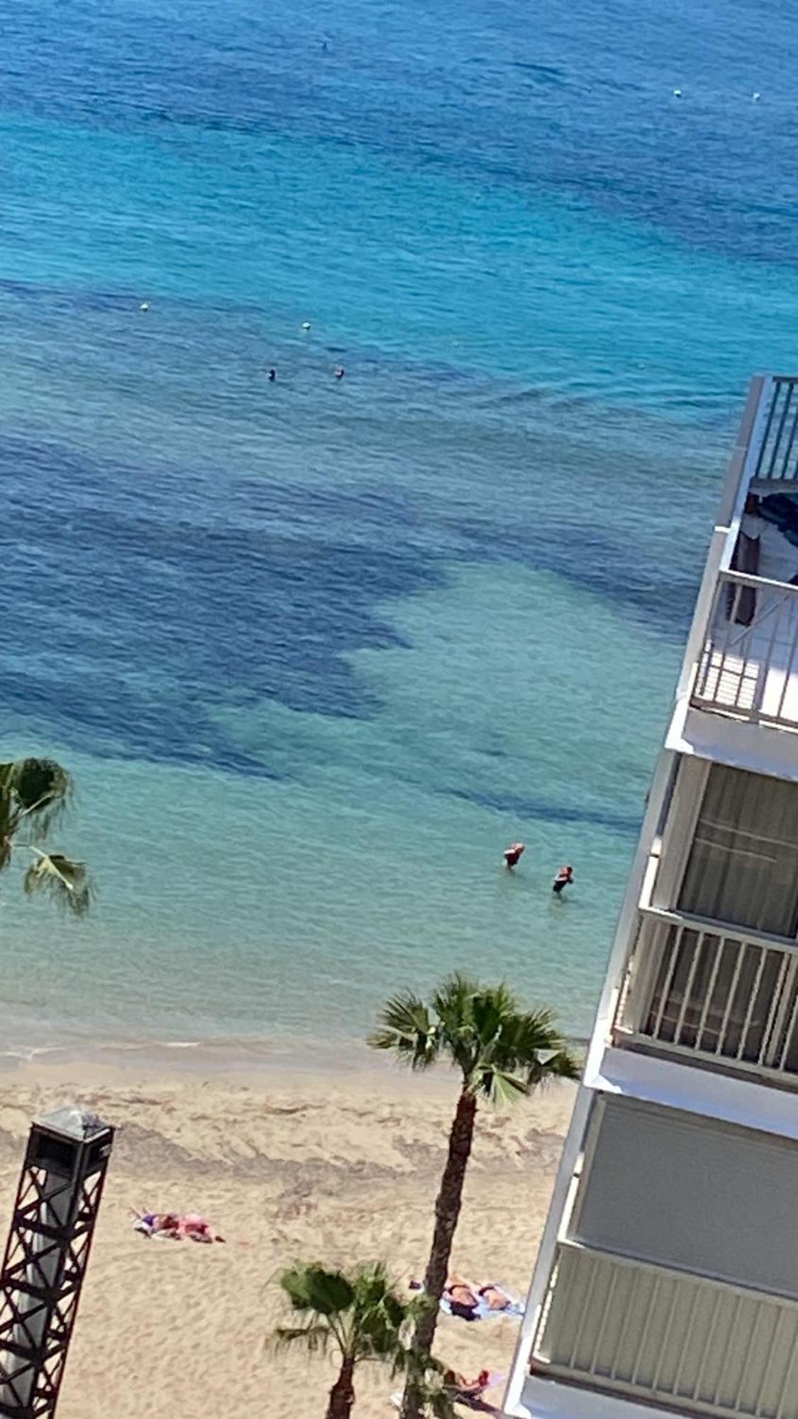 شقة Benidorm Beach المظهر الخارجي الصورة